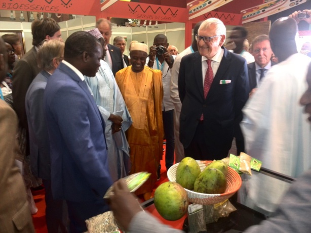 Foire : Le Sénégal à l’honneur en Flandre