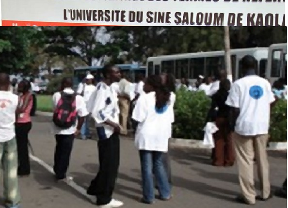 UNIVERSITE DU SINE SALOUM ELHADJI IBRAHIMA NIASSE :   Mise en place d’une Ufr Nutrition et alimentation