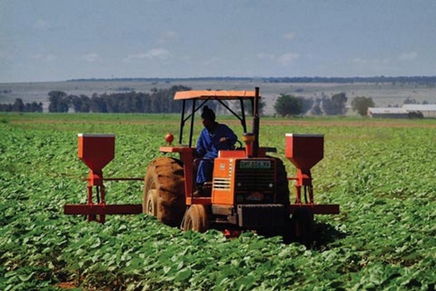 MISE EN ŒUVRE DE « NOURRIR AFRIQUE » :« La BAD est le partenaire stratégique qui accompagne tous les pays vers une meilleure croissance de leur secteur agricole. »