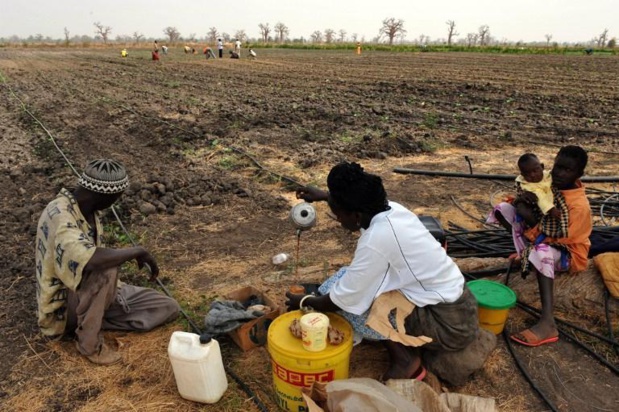 RESILIENCE A L’INSECURITE ALIMENTAIRE : les conditions de vie de 3, 2 millions de personnes améliorées