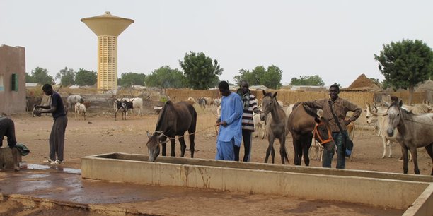 Sénégal : un nouveau fonds pour financer l'auto-emploi des jeunes