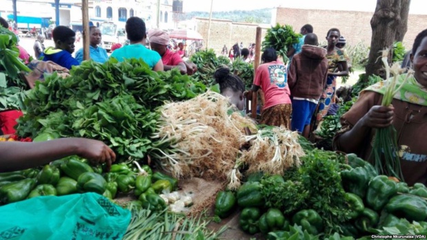 Sénégal : Repli des prix à la consommation en Mars