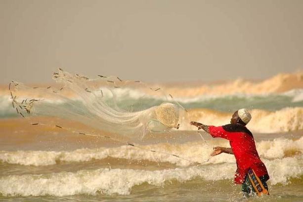 Atelier sur la gestion des produits halieutiques:  La pêche non réglementée indexée