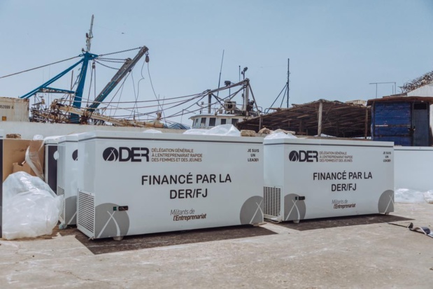 Remise de 35 congélateurs, pose de la première pierre d’une usine de glace :  La Der/Fj débarque  au Port autonome de Dakar