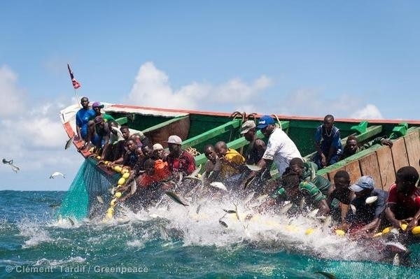 Raréfaction des ressources halieutiques : Un expert appelle les jeunes pêcheurs à se reconvertir