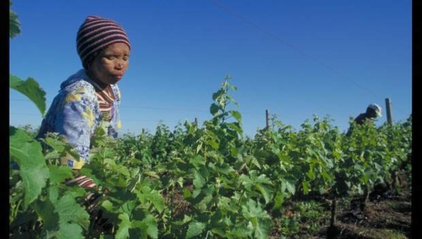 Optimisation des ressources dans les dépenses agricoles: Rechercher des alternatives de financements pour l’agriculture