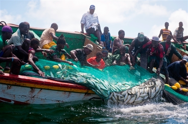 Les revenus des pêcheurs de plus en plus faibles