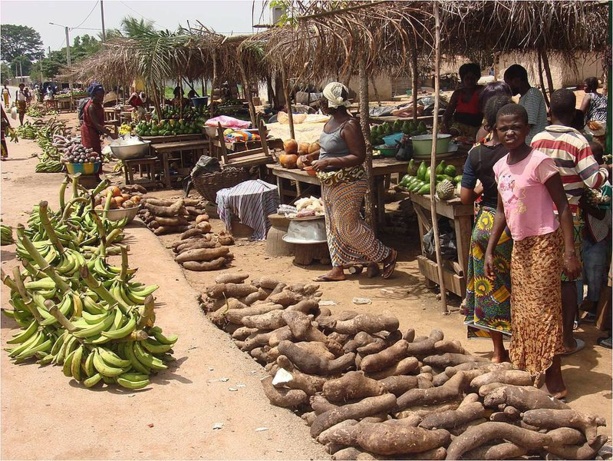 Afrique: La FAO recommande des mesures préventives contre la volatilité des prix des denrées alimentaires