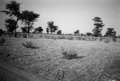 Agriculture : L'exploitation à outrance des terres est la cause de leur infertilité