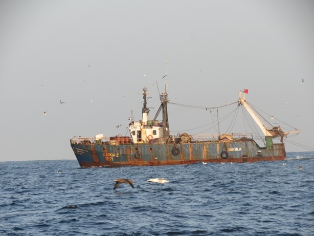 Sénégal: Pêche illicite - un manque à gagner estimé à 150 milliards de francs CFA