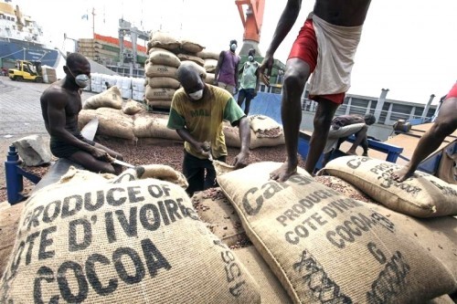 « Les performances ivoiriennes et ghanéennes réduiront le déficit mondial de cacao cette saison »