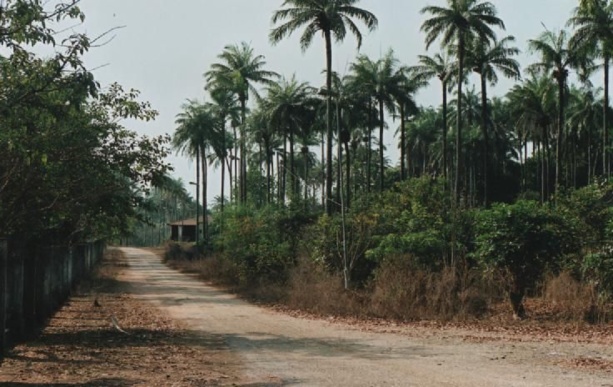 La Banque mondiale soutient la Guinée-Bissau dans les domaines de la santé, de l’éducation, des routes et de l’eau