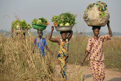 Agrobusiness et agriculture familiale peuvent aller ensemble