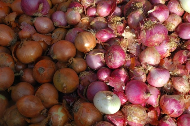 Dagana: Bokhol veut devenir l'unique marché d'oignon de la zone