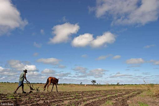 Agriculture : Accord de financement de 17,350 milliards FCFA du FIDA pour le développement des filières agricoles au Sénégal