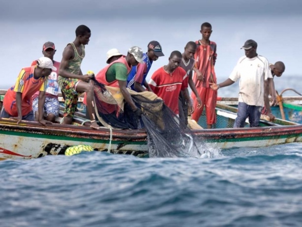 Ressource halieutique : un officiel relève ''les bons rapports'' entre Dakar et Nouakchott