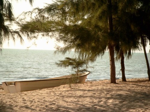 RELANCE DU SECTEUR DU TOURISME AU SENEGAL : DES SUD-AFRICAINS LORGNENT LES SITES DE JOAL FINIO, MBODIÈNE ET POINTE SARÈNE