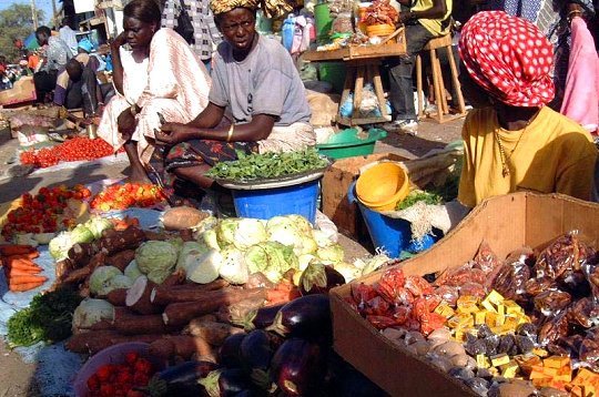 Sénégal : Repli de l’activité du secteur tertiaire au mois d’octobre