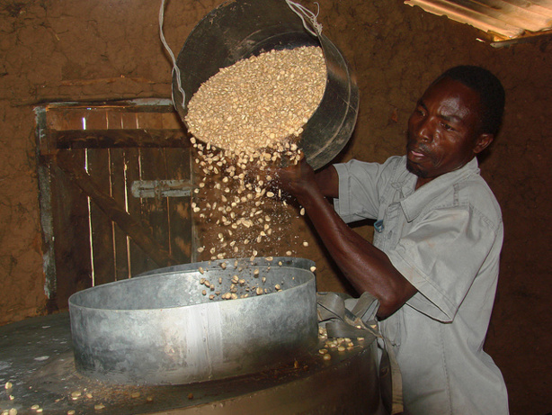 L’IFC facilite l’accès aux services de crédits des banques aux agriculteurs sénégalais