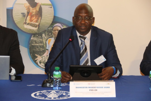 Makhfousse Sarr de la FAO pour la promotion de la sécurité sanitaire des coquillages et leur accès aux marchés régional et international