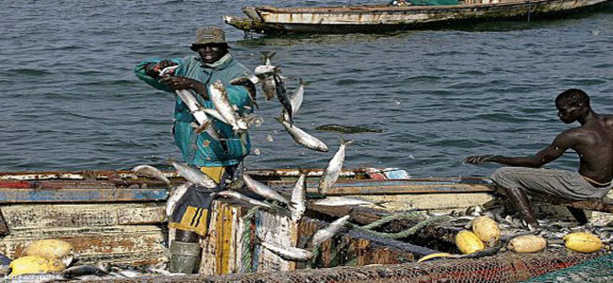 SENEGAL-Mauritanie: Le nombre de licences de pêche passe de 300 à 400