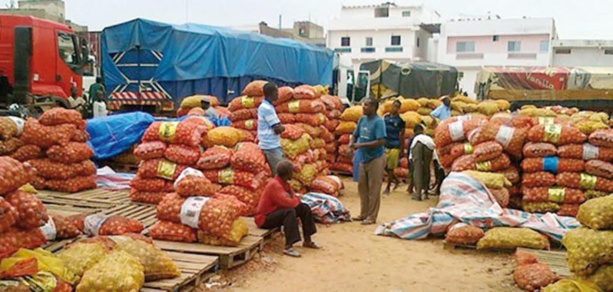 Secteur tertiaire sénégalais : Baisse de chiffre d’affaires dans le commerce et les services