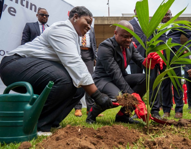 Protection de l’environnement, révolution verte : La fondation Uba lance une campagne de plantation d’arbres