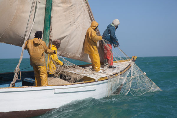 Mauritanie : la Banque mondiale accompagne la nouvelle stratégie de pêche à hauteur de 20 millions $