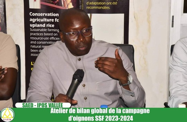 SENEGAL - Approvisionnement correct du marché de l’oignon : Le directeur de l’Arm souligne l’importance de stratégies de stockages et de conservation