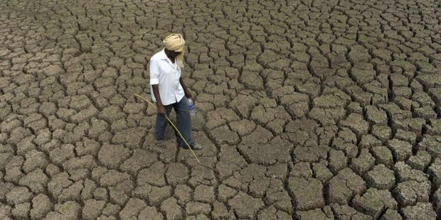 Lutte contre le changement climatique : A Bakou, la stratégie décennale de la Bad saluée comme instrument essentiel