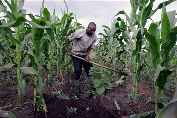 Agriculture : La BAD et la KfW main dans la main