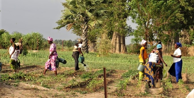 Promotion de l’entrepreneuriat des femmes et des jeunes : La Banque africaine de développement octroie plus de 74 millions d’euros au Sénégal