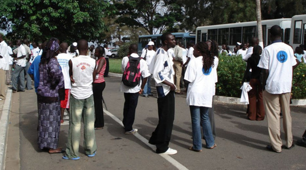 Sénégal : Le taux d’emploi en baisse de 1,6 point de pourcentage au 3e trimestre 2024