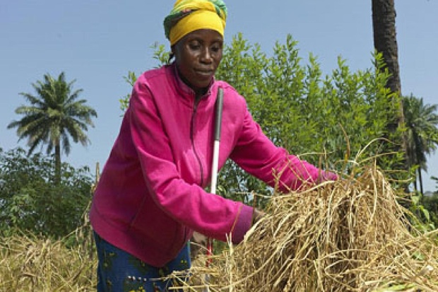 Financement de projets de développement rural : Le Fida et Dbsa signent un mémorandum d’accord