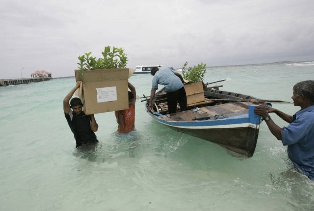 COP22: Les pays les plus vulnérables au changement climatique promettent d'agir énergiquement