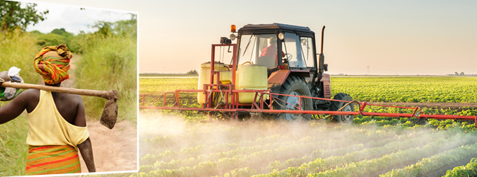 Agriculture : La BAD lance sa Stratégie pour la transformation agricole à Dakar