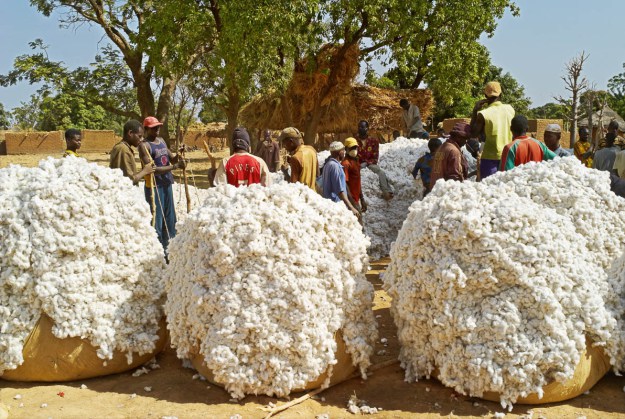 Structure des exportations de biens de l'UEMOA : Les produits agricoles prennent l’ascenseur