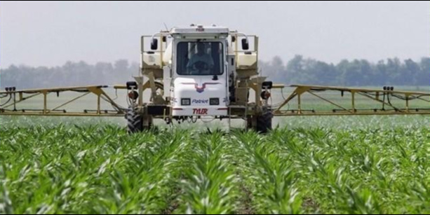 Agriculture Africaine: Les stratégies de la BAD pour atteindre la prospérité