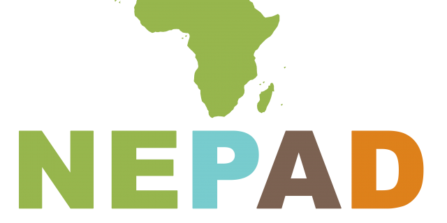 Union africaine: Le Nepad transformé en Agence de développement