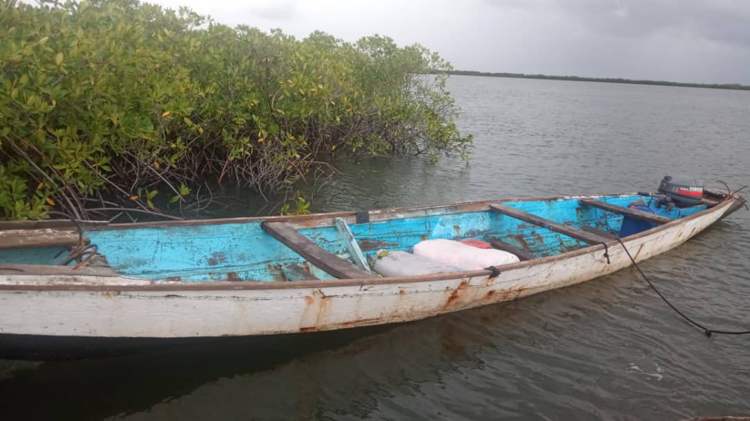 DOUANE, OPERATION « JONCTION » : 537 kg de chanvre indien saisis en 72 heures