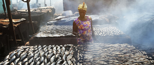 Sénégal : Hausse du secteur primaire au mois de décembre 2020