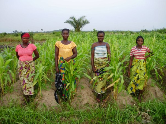 Cadre de Coopération de la NASAN : Un levier pour booster la production agricole