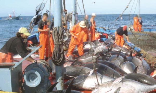 Maroc: Vers l'adoption finale de l'accord de pêche entre le Maroc et l'UE