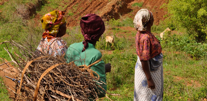 Les petits exploitants agricoles africains figurent parmi les plus vulnérables à la famine