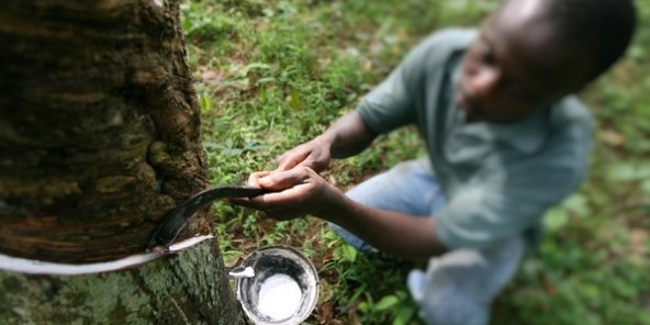 Côte d’Ivoire : La SAPH réalise un résultat net de 20,750 milliards de FCFA en 2021