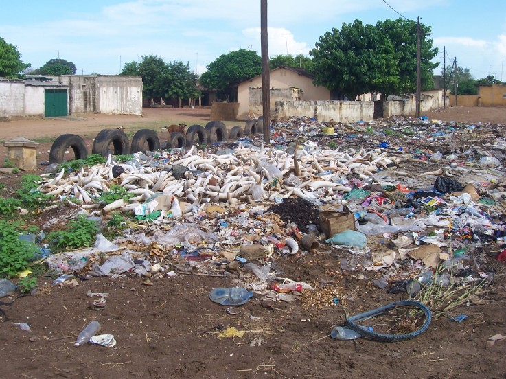 ENVIRONNEMENT : Plus de 800 millions FCFA pour la gestion des déchets à Tivaouane et Ziguinchor