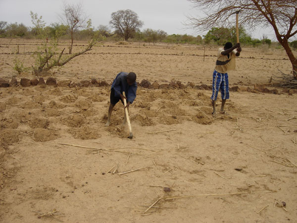 Dégradation des sols : près de 2/3 des terres arables touchées