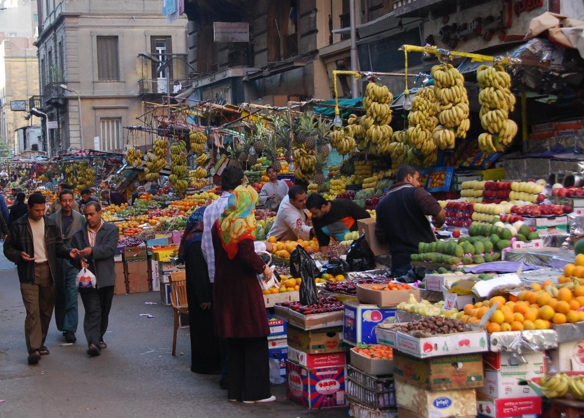 Produits alimentaires africains : L’Union Européenne forme 60 experts africains sur ses normes  phytosanitaires