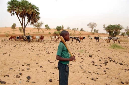 Afrique: Négociations sur le changement climatique et 2014 et 2015 - Les PMA francophones harmonisent leur position à dakar