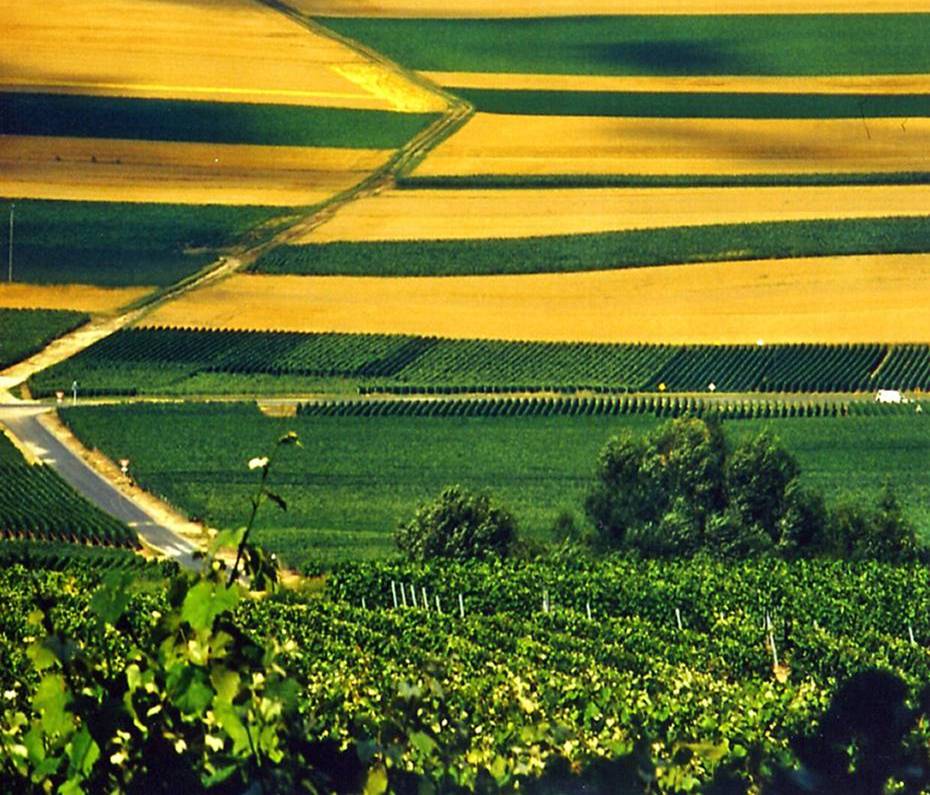 La sécurisation de l’occupation des terres est une condition nécessaire  à l’accroissement des productions agricoles.